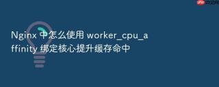 Nginx 中怎么使用 worker_cpu_affinity 绑定核心提升缓存命中