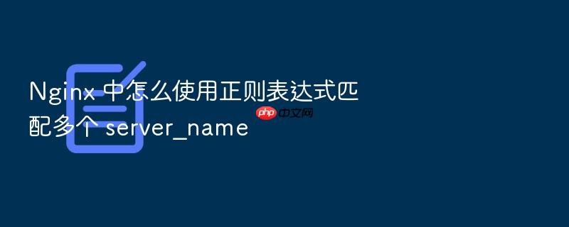 nginx 中怎么使用正则表达式匹配多个 server_name