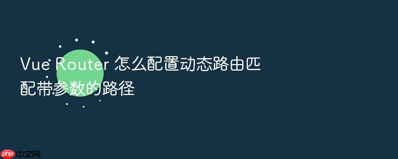vue router 怎么配置动态路由匹配带参数的路径