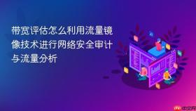 带宽评估怎么利用流量镜像技术进行网络安全审计与流量分析