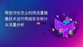 带宽评估怎么利用流量镜像技术进行网络安全审计与流量分析