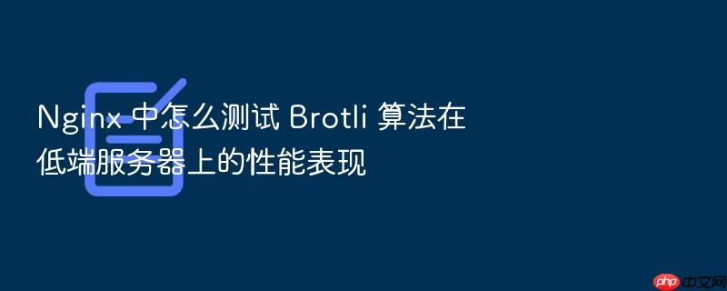 nginx 中怎么测试 brotli 算法在低端服务器上的性能表现