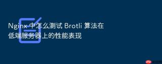 nginx 中怎么测试 brotli 算法在低端服务器上的性能表现