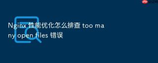 Nginx 性能优化怎么排查 too many open files 错误