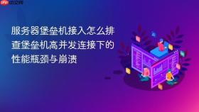 服务器堡垒机接入怎么排查堡垒机高并发连接下的性能瓶颈与崩溃
