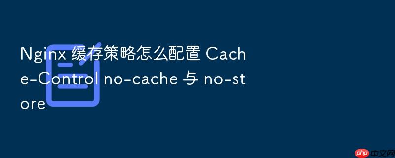 nginx 缓存策略怎么配置 cache-control no-cache 与 no-store