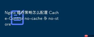 nginx 缓存策略怎么配置 cache-control no-cache 与 no-store