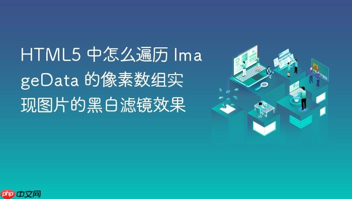 html5 中怎么遍历 imagedata 的像素数组实现图片的黑白滤镜效果