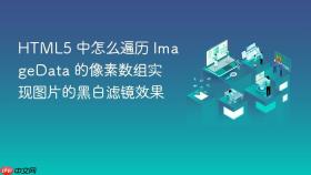 html5 中怎么遍历 imagedata 的像素数组实现图片的黑白滤镜效果