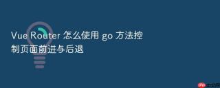 Vue Router 怎么使用 go 方法控制页面前进与后退