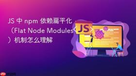 js 中 npm 依赖扁平化（flat node modules）机制怎么理解