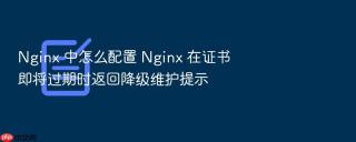 Nginx 中怎么配置 Nginx 在证书即将过期时返回降级维护提示