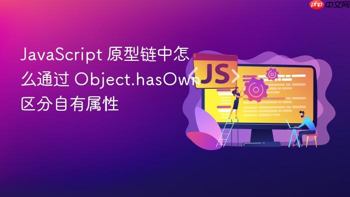 javascript 原型链中怎么通过 object.hasown 区分自有属性