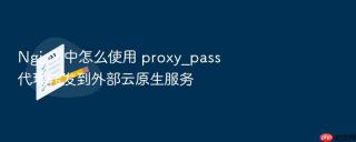 nginx 中怎么使用 proxy_pass 代理转发到外部云原生服务