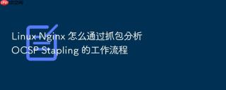 linux nginx 怎么通过抓包分析 ocsp stapling 的工作流程