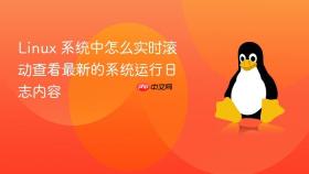 linux 系统中怎么实时滚动查看最新的系统运行日志内容