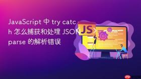 javascript 中 try catch 怎么捕获和处理 json.parse 的解析错误