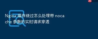 nginx 缓存绕过怎么处理带 nocache 参数的实时请求穿透