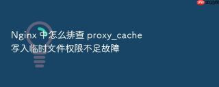 Nginx 中怎么排查 proxy_cache 写入临时文件权限不足故障