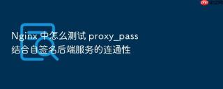 Nginx 中怎么测试 proxy_pass 结合自签名后端服务的连通性