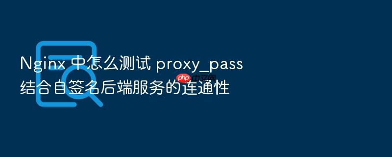nginx 中怎么测试 proxy_pass 结合自签名后端服务的连通性