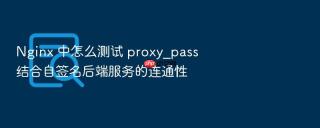 nginx 中怎么测试 proxy_pass 结合自签名后端服务的连通性