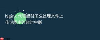 Nginx 代理超时怎么处理文件上传过程中的超时中断