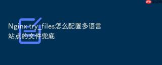 nginx try_files怎么配置多语言站点的文件兜底