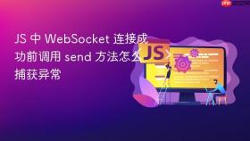 js 中 websocket 连接成功前调用 send 方法怎么捕获异常
