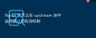 nginx 中怎么在 upstream 块中启用默认的轮询机制