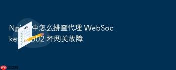 Nginx 中怎么排查代理 WebSocket 报 502 坏网关故障