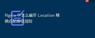 nginx 中怎么编写 location 精确匹配路径规则