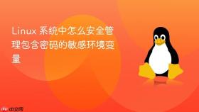 linux 系统中怎么安全管理包含密码的敏感环境变量
