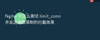 nginx 中怎么测试 limit_conn 并发连接数限制的拦截效果