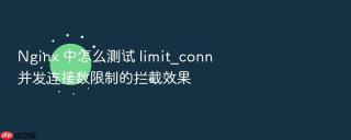 Nginx 中怎么测试 limit_conn 并发连接数限制的拦截效果
