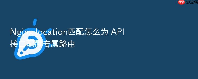 nginx location匹配怎么为 api 接口配置专属路由