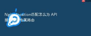 nginx location匹配怎么为 api 接口配置专属路由