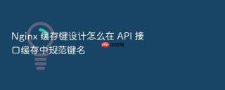 nginx 缓存键设计怎么在 api 接口缓存中规范键名