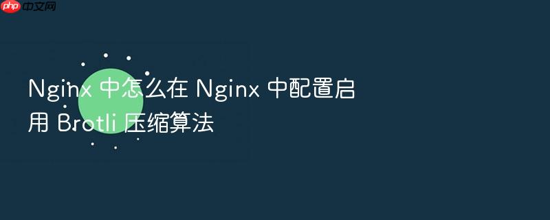 nginx 中怎么在 nginx 中配置启用 brotli 压缩算法