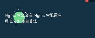 Nginx 中怎么在 Nginx 中配置启用 Brotli 压缩算法