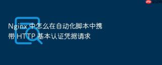 nginx 中怎么在自动化脚本中携带 http 基本认证凭据请求