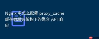 Nginx 中怎么配置 proxy_cache 缓存微服务架构下的聚合 API 响应