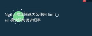 nginx 限流限速怎么使用 limit_req 模块限制请求频率