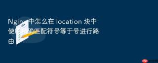 Nginx 中怎么在 location 块中使用精确匹配符号等于号进行路由