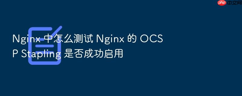 nginx 中怎么测试 nginx 的 ocsp stapling 是否成功启用
