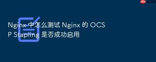 nginx 中怎么测试 nginx 的 ocsp stapling 是否成功启用