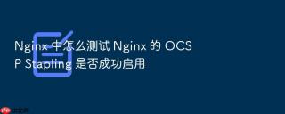Nginx 中怎么测试 Nginx 的 OCSP Stapling 是否成功启用