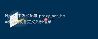 nginx 中怎么配置 proxy_set_header 转发自定义头部信息