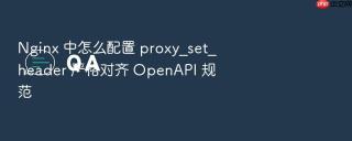 nginx 中怎么配置 proxy_set_header 严格对齐 openapi 规范