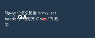 Nginx 中怎么配置 proxy_set_header 严格对齐 OpenAPI 规范